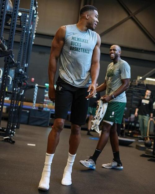 报名系统 报名系统